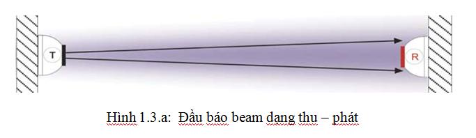 dau bao beam thu phat