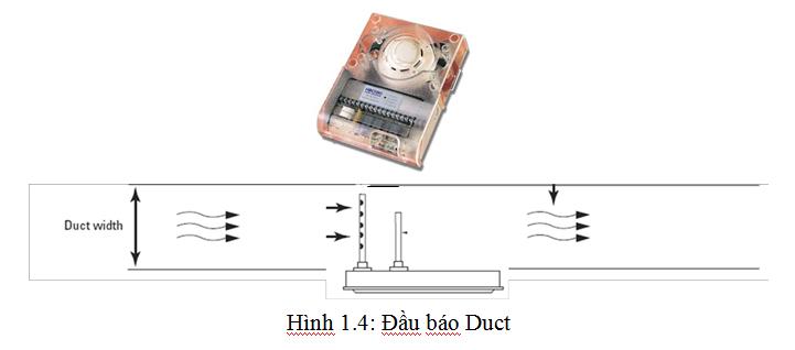 dau bao duyt